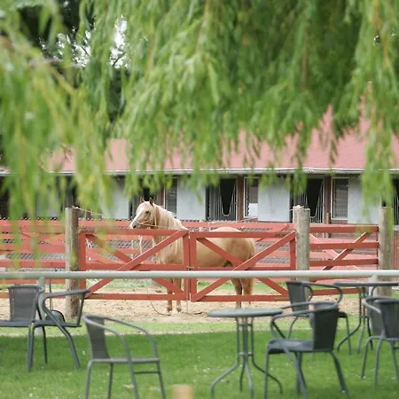 Albergue Djh - Reiterhof *